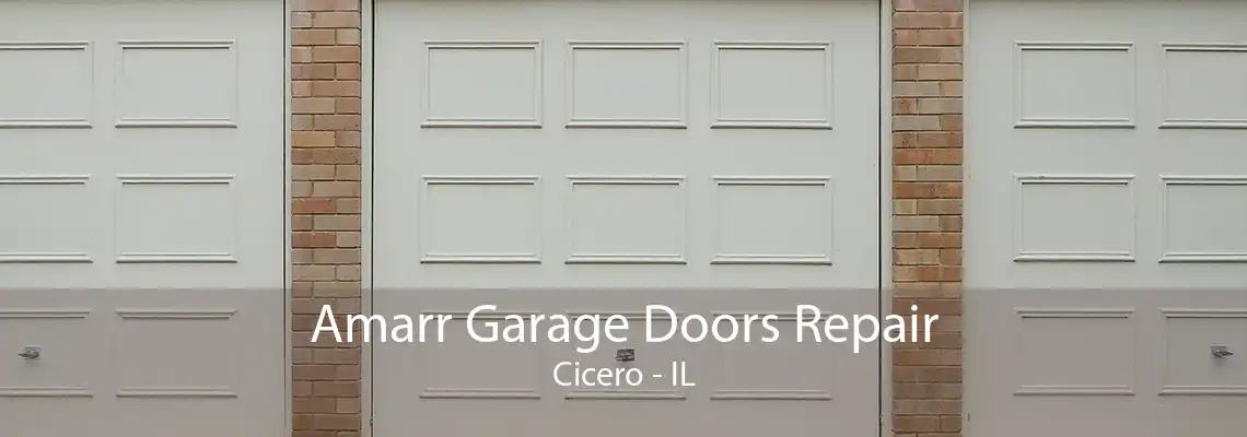 Amarr Garage Doors Repair Cicero - IL