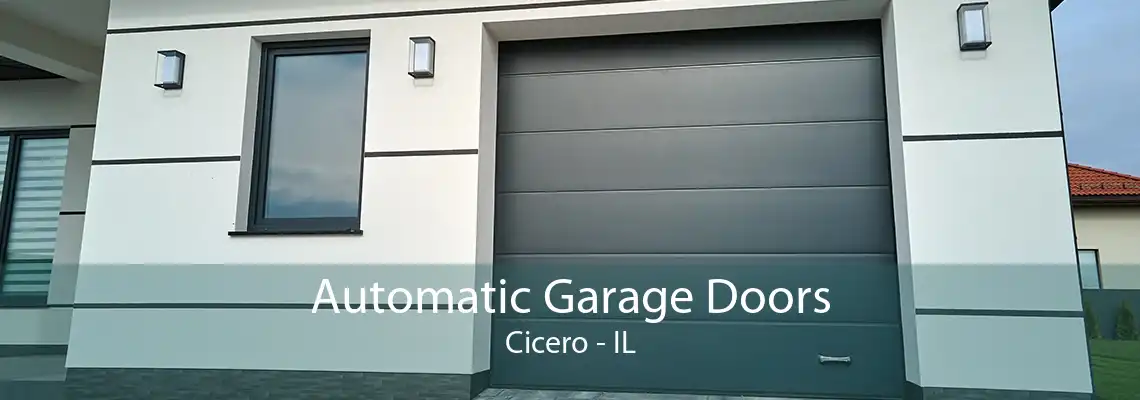 Automatic Garage Doors Cicero - IL