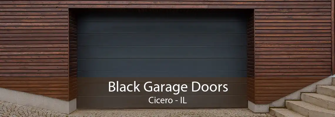 Black Garage Doors Cicero - IL