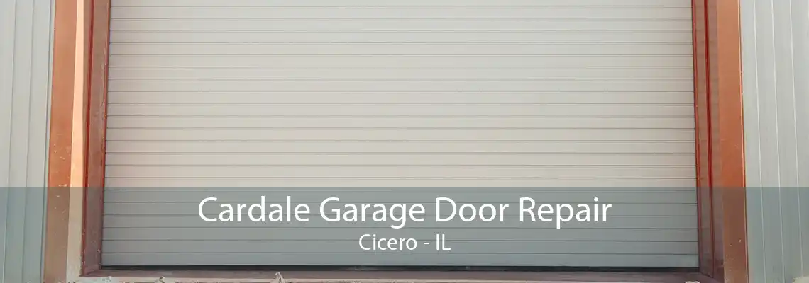 Cardale Garage Door Repair Cicero - IL