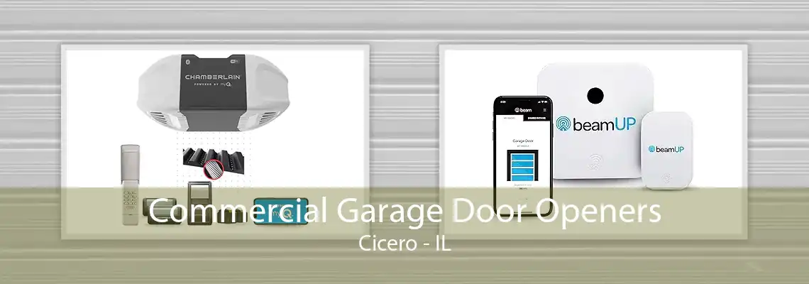 Commercial Garage Door Openers Cicero - IL