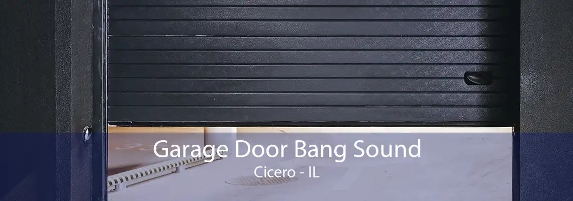 Garage Door Bang Sound Cicero - IL