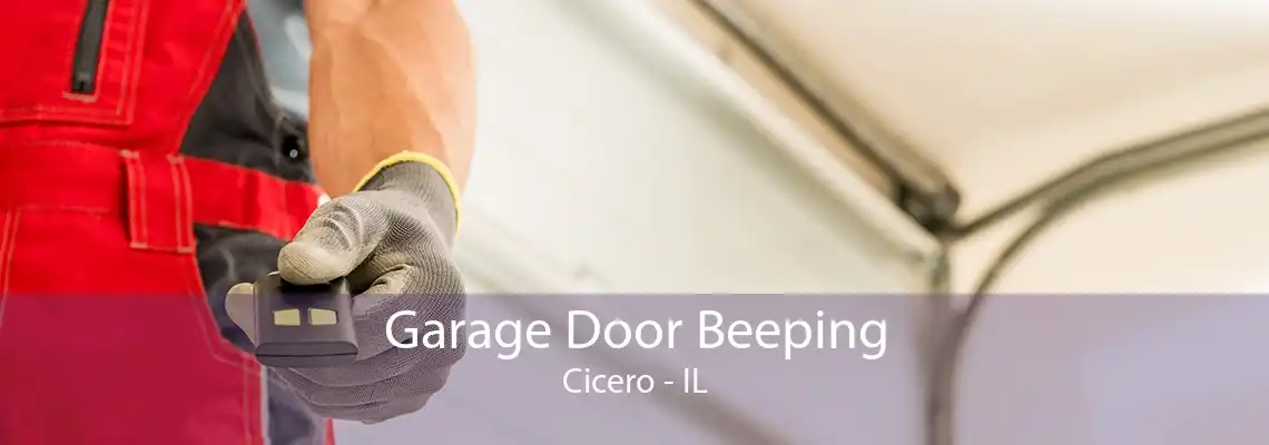 Garage Door Beeping Cicero - IL