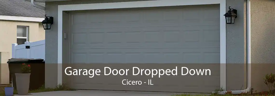 Garage Door Dropped Down Cicero - IL