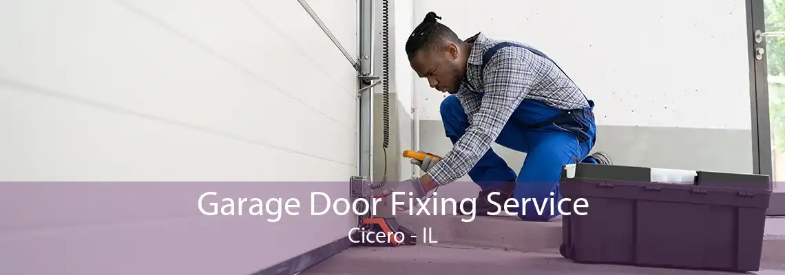 Garage Door Fixing Service Cicero - IL