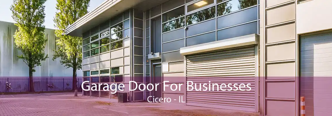 Garage Door For Businesses Cicero - IL