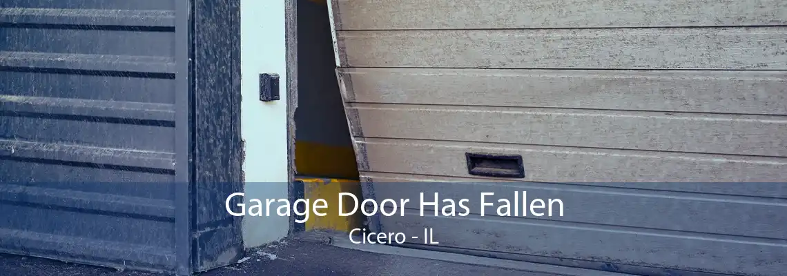 Garage Door Has Fallen Cicero - IL