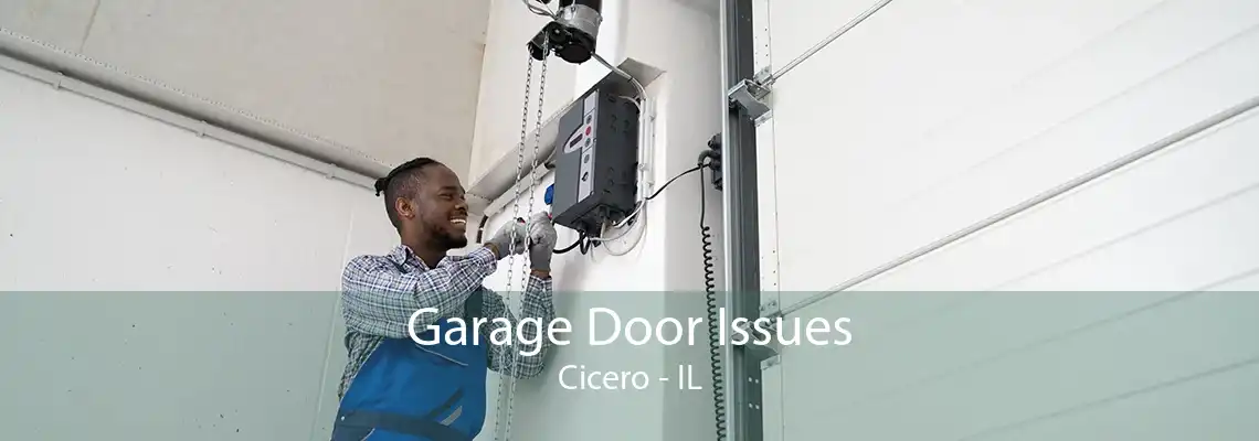 Garage Door Issues Cicero - IL