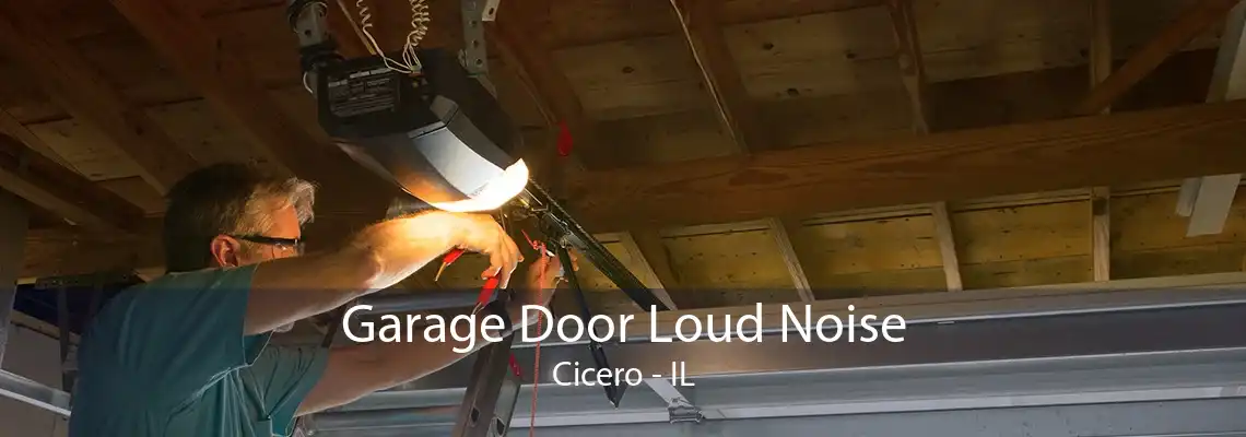 Garage Door Loud Noise Cicero - IL