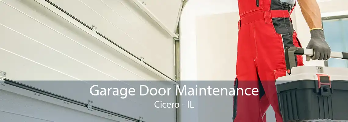 Garage Door Maintenance Cicero - IL