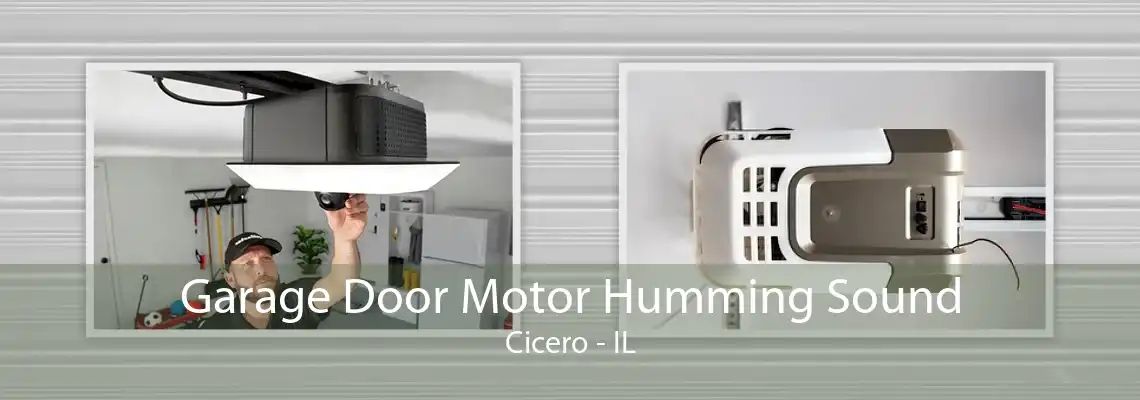 Garage Door Motor Humming Sound Cicero - IL