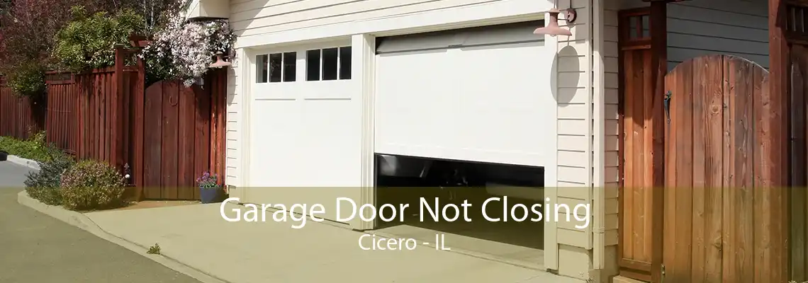 Garage Door Not Closing Cicero - IL