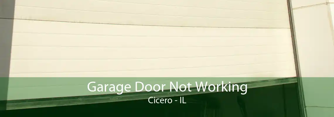 Garage Door Not Working Cicero - IL