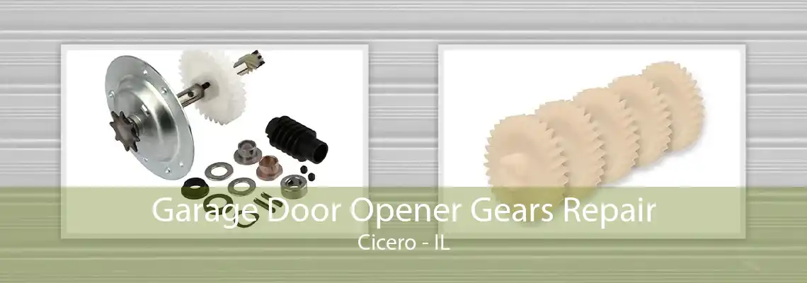 Garage Door Opener Gears Repair Cicero - IL