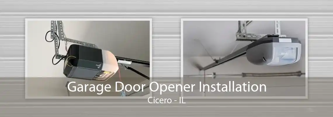 Garage Door Opener Installation Cicero - IL