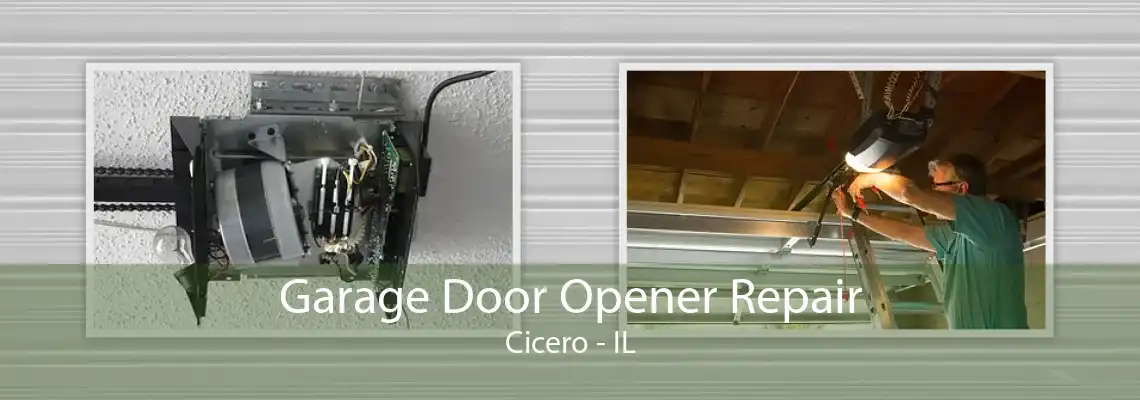 Garage Door Opener Repair Cicero - IL