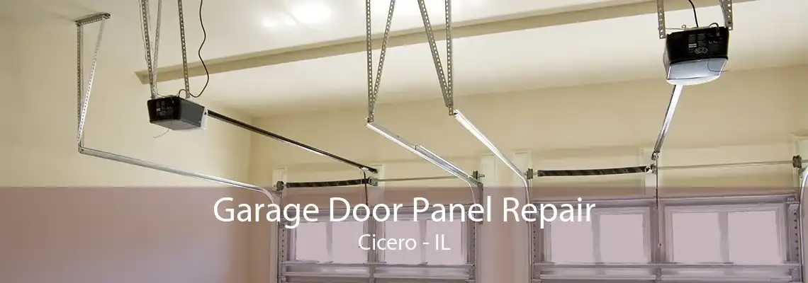 Garage Door Panel Repair Cicero - IL