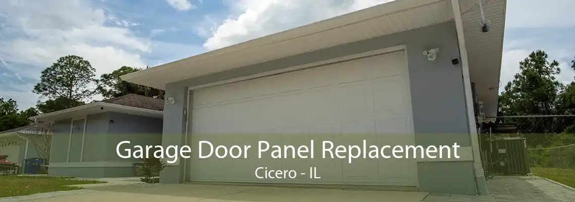 Garage Door Panel Replacement Cicero - IL