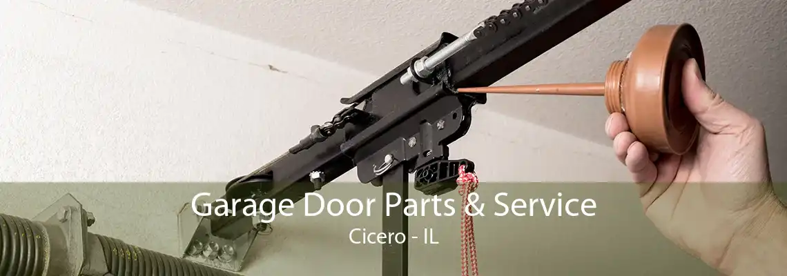 Garage Door Parts & Service Cicero - IL