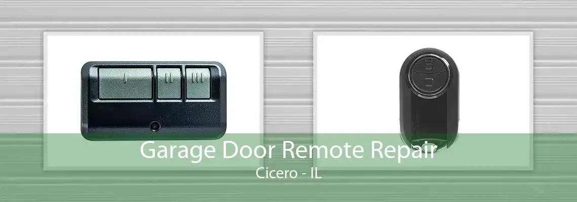 Garage Door Remote Repair Cicero - IL