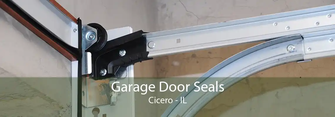 Garage Door Seals Cicero - IL