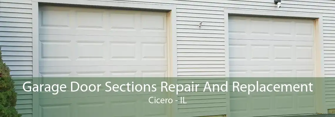 Garage Door Sections Repair And Replacement Cicero - IL