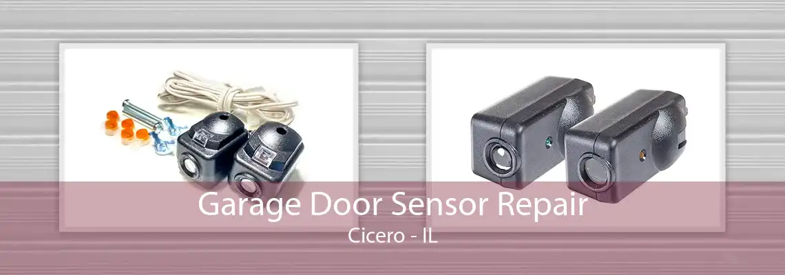 Garage Door Sensor Repair Cicero - IL