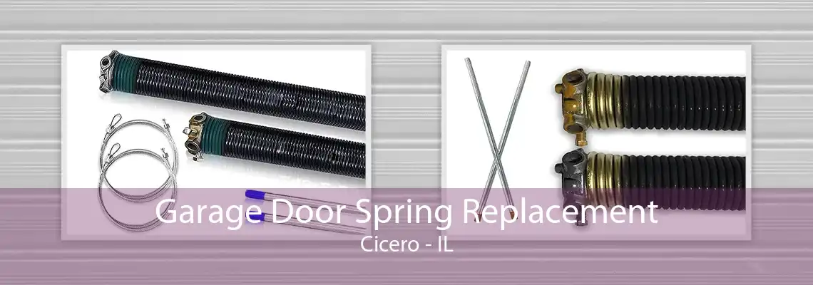 Garage Door Spring Replacement Cicero - IL