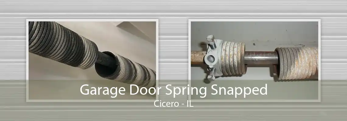 Garage Door Spring Snapped Cicero - IL