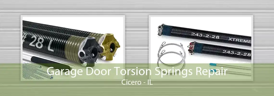 Garage Door Torsion Springs Repair Cicero - IL