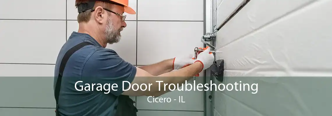 Garage Door Troubleshooting Cicero - IL