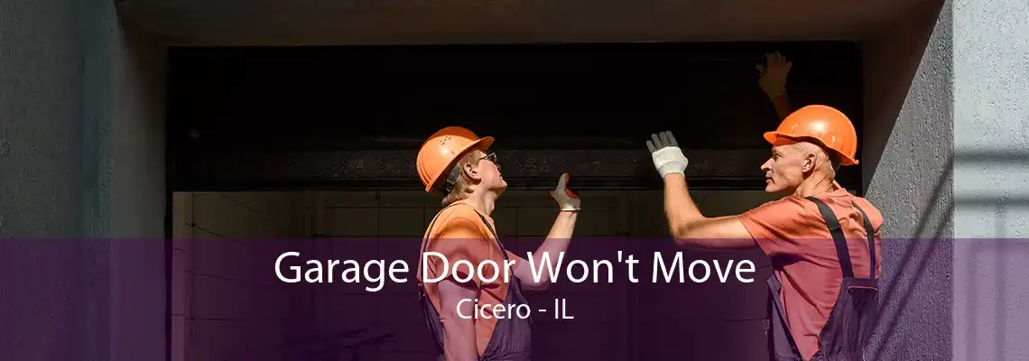 Garage Door Won't Move Cicero - IL