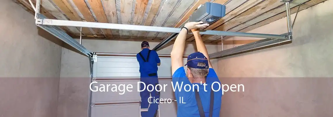 Garage Door Won't Open Cicero - IL