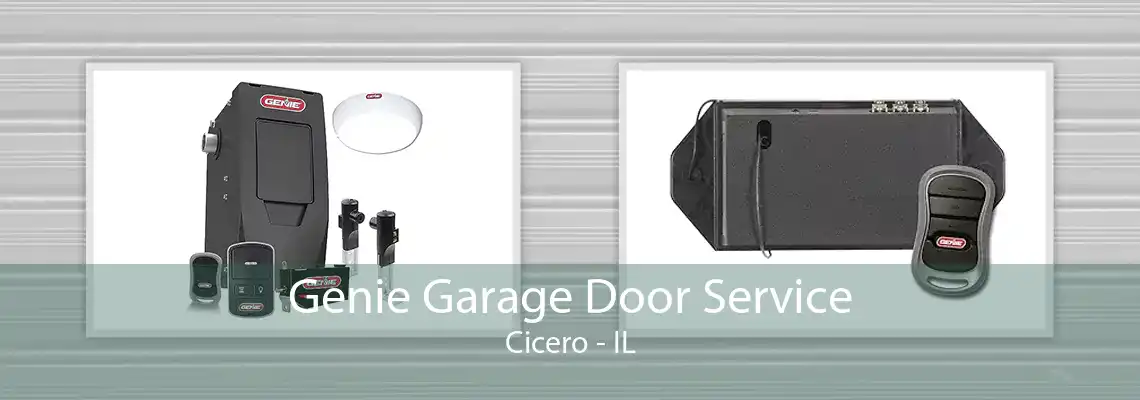 Genie Garage Door Service Cicero - IL