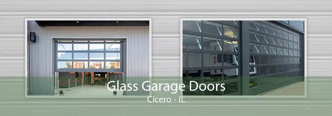 Glass Garage Doors Cicero - IL