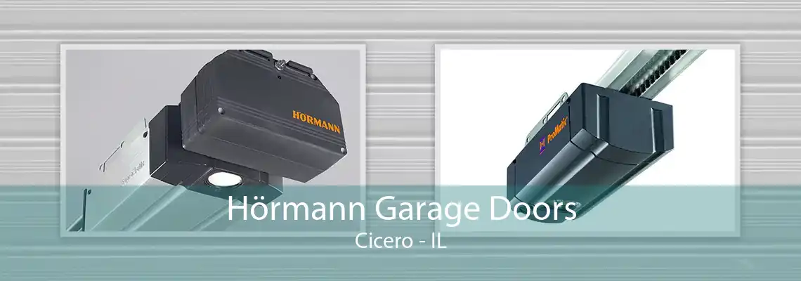 Hörmann Garage Doors Cicero - IL