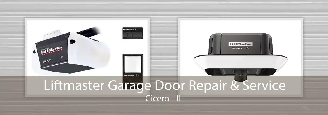 Liftmaster Garage Door Repair & Service Cicero - IL