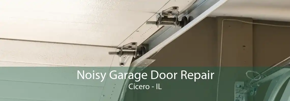 Noisy Garage Door Repair Cicero - IL