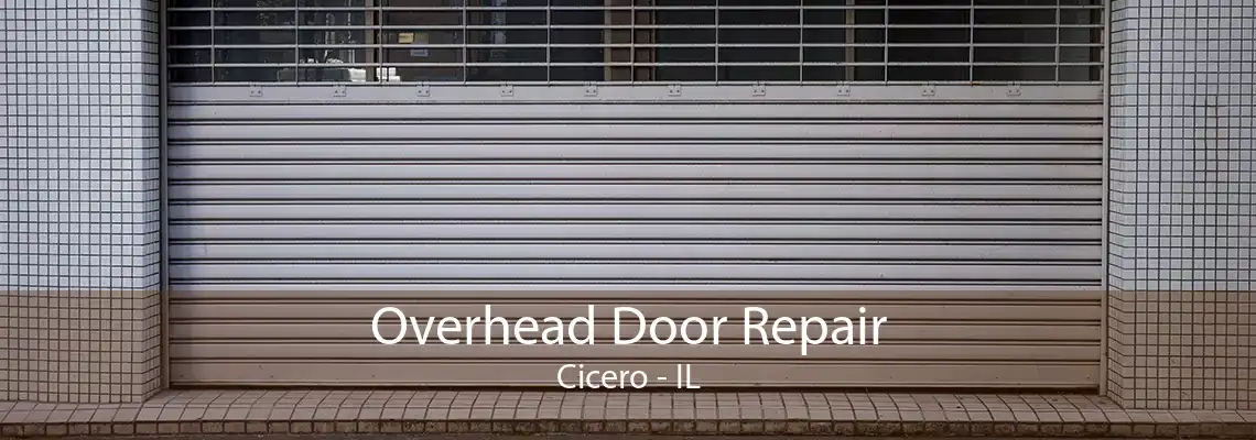 Overhead Door Repair Cicero - IL