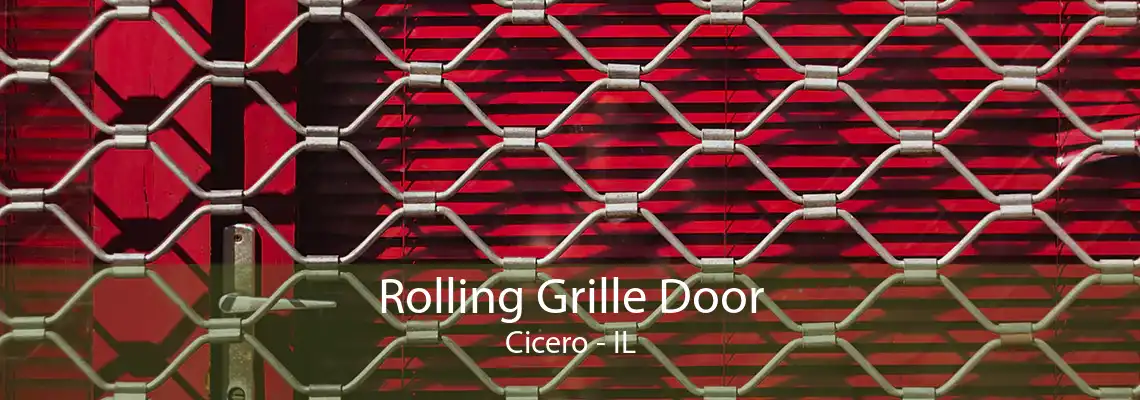 Rolling Grille Door Cicero - IL