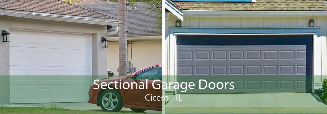 Sectional Garage Doors Cicero - IL